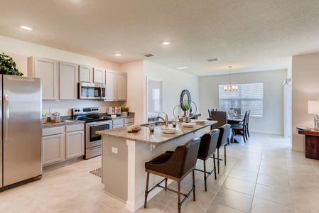 Edgemont at Serenoa by D.R. Horton in Clermont - photo 7 7