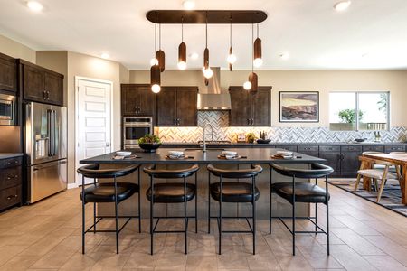 Blossom Rock by Tri Pointe Homes in Apache Junction - photo 50 50