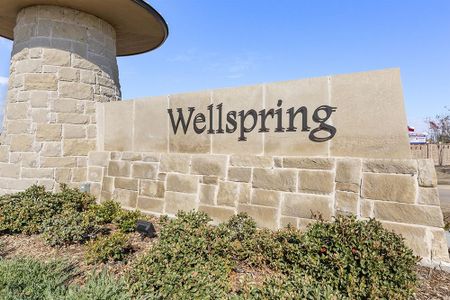 Wellspring Estates by First Texas Homes in Celina - photo 48