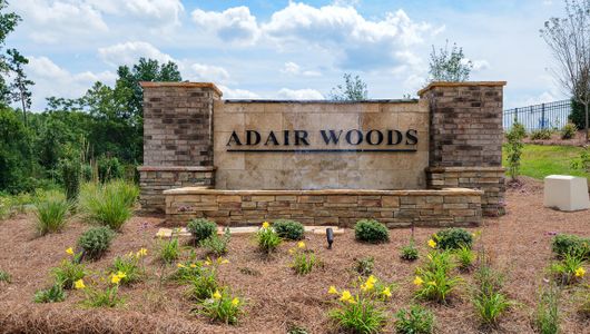Adair Woods by D.R. Horton in Davidson - photo 0 0
