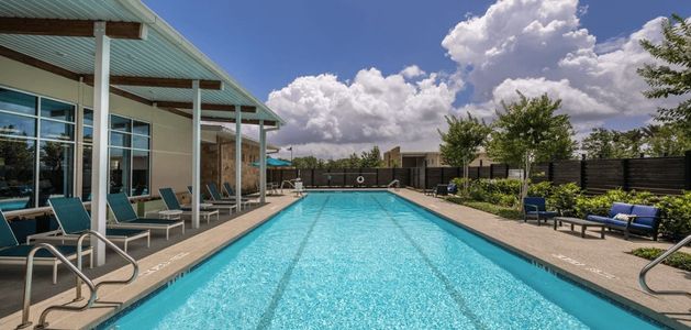 Meridiana - 50' by Westin Homes in Manvel - photo 6 6