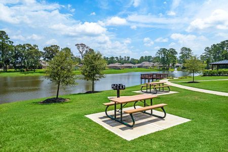 Lakes at Black Oak by Davidson Homes LLC in Magnolia - photo 4 4