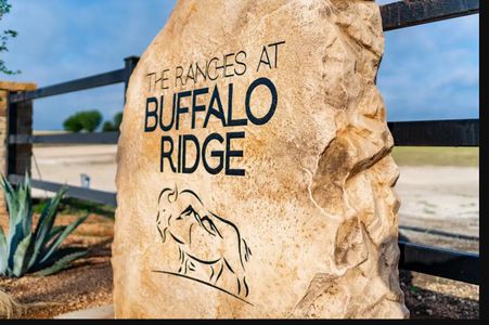 The Ranches At Buffalo Ridge by Couto Homes in Cleburne - photo 0