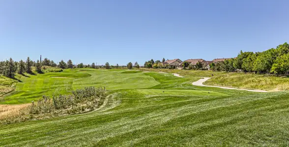 Guilford Estates: The Grand Collection by Lennar in Aurora - photo 4