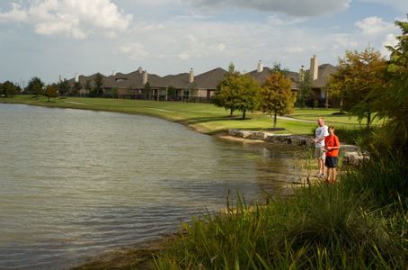 Towne Lake 70’ by Ravenna Homes in Cypress - photo