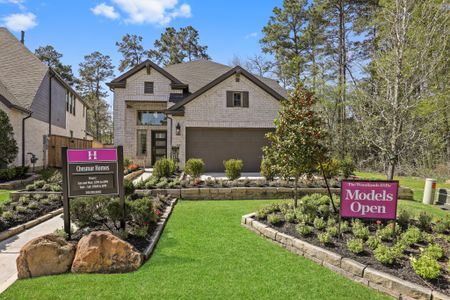 The Woodlands Hills by Chesmar Homes in Willis - photo 0 0