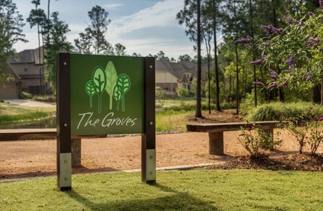The Groves by Beazer Homes in Humble - photo 16 16