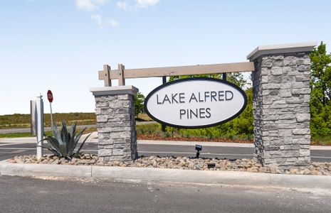 Lake Alfred Pines by Centex in Lake Alfred - photo 1 1