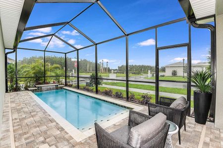 Persimmon Park - Cottage Series by David Weekley Homes in Wesley Chapel - photo 17 17