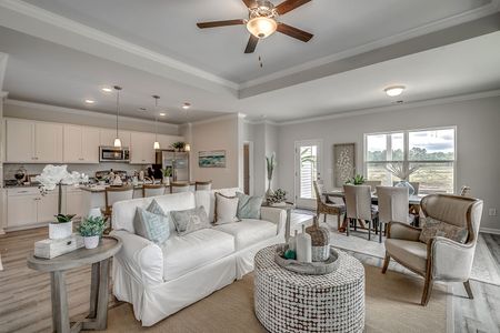 Petterson Meadows by Mungo Homes in Summerville - photo 100 100