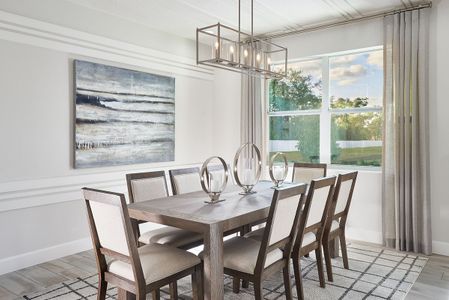 Marisol Pointe at MiraBay Florida Series by Park Square Residential in Apollo Beach - photo 14