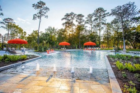 Grand Central Park: 55ft. lots by Highland Homes in Conroe - photo 9 9