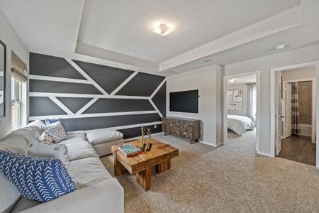 Abbott Place by Legend Homes in Saint Hedwig - photo 22 22