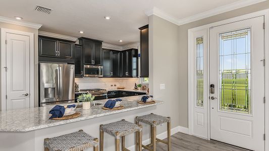 Esplanade at Wiregrass Ranch by Taylor Morrison in Wesley Chapel - photo 77 77