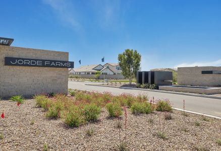 Ascent at Jorde Farms by Shea Homes in Queen Creek - photo