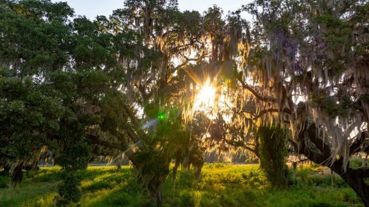 Cresswind at Lake Harris by Kolter Homes in Tavares - photo 3 3