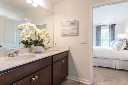 Petterson Meadows by Mungo Homes in Summerville - photo 56 56
