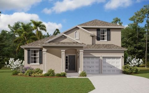 Hills of Minneola by Dream Finders Homes in Clermont - photo 11 11
