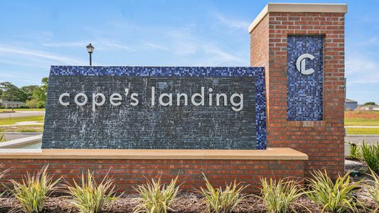Copes Landing by D.R. Horton in Jacksonville - photo 75 75