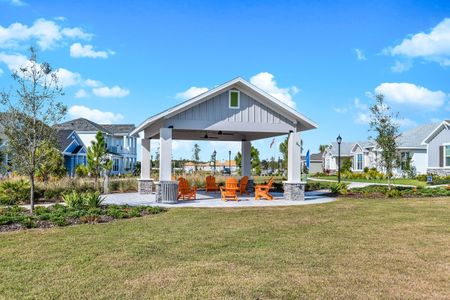 Persimmon Park - Cottage Series by David Weekley Homes in Wesley Chapel - photo