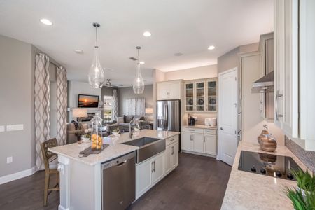 Laureate Park by Dream Finders Homes in Orlando - photo 33 33