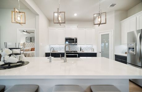 Sunterra: Premier Collection by Beazer Homes in Katy - photo 5 5