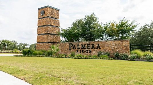Palmera Ridge 60' by Perry Homes in Leander - photo