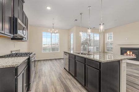 Stonegate Condos by Lokal Homes in Parker - photo 32