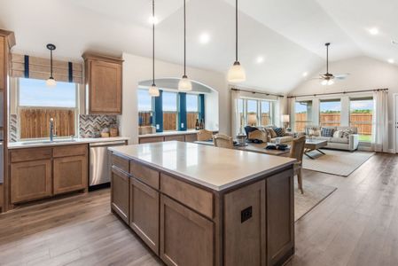 Arcadia Trails by Bloomfield Homes in Balch Springs - photo 6 6