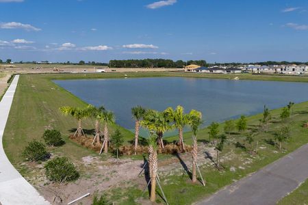Harmony at Lake Eloise by Casa Fresca Homes in Winter Haven - photo 46 46