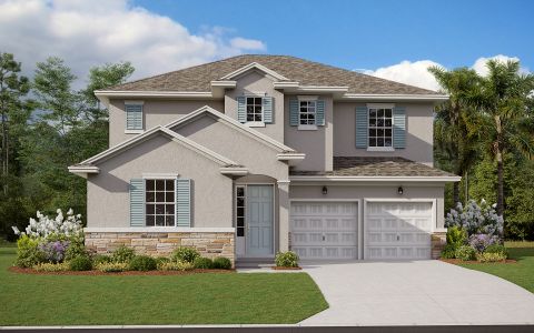 Cypress Park Estates by Dream Finders Homes in Haines City - photo 11 11