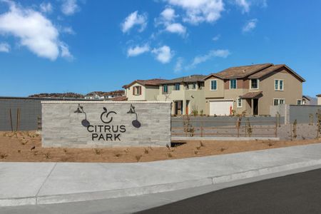 Valencia at Citrus Park by Landsea Homes in Goodyear - photo 5 5