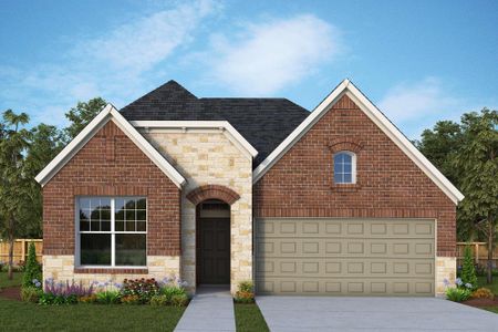The Colony 45' – Bandera Pass by David Weekley Homes in Bastrop - photo 12 12