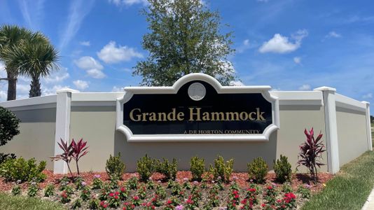 Grande Hammock by D.R. Horton in Vero Beach - photo 0 0