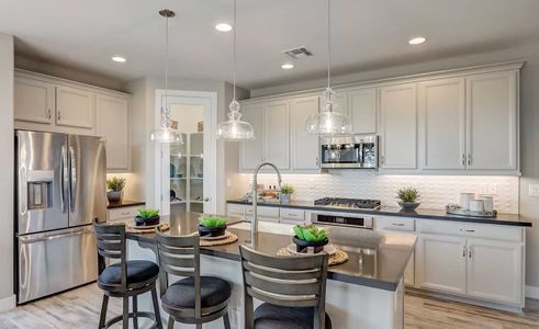 IronWing at Windrose by Brightland Homes in Litchfield Park - photo 7 7