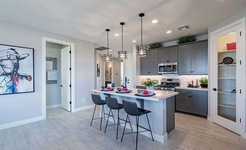 Sweetwater Farms - Castillo by Brightland Homes in Surprise - photo 6 6