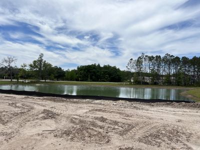 Pearl Estates by Lennar in Lutz - photo 23 23