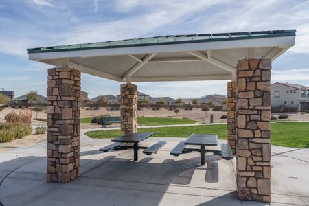 The Grove at El Cidro by William Ryan Homes in Goodyear - photo 5 5