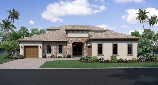 Serengeti by Biscayne Homes in Spring Hill - photo 7 7