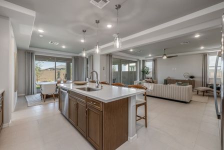 The Grove at El Cidro by William Ryan Homes in Goodyear - photo 97 97
