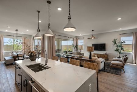 Treeland by Tri Pointe Homes in Chandler - photo 10 10