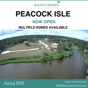Peacock Isle by Bayway Homes in Dickinson - photo 41 41