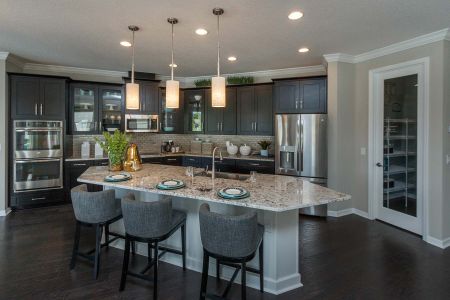 Conestoga Park by M/I Homes in Sanford - photo 11