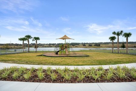 Waterbrooke by Mattamy Homes in Clermont - photo 5