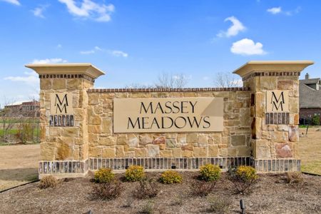 Massey Meadows Phase 2 by Antares Homes in Midlothian - photo 33 33