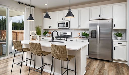 Sierra at Ascent Village by Richmond American Homes in Littleton - photo 42 42