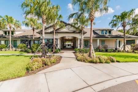 K-Bar Ranch Gilded Woods by M/I Homes in Tampa - photo 16 16