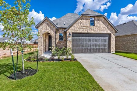 Davis Ranch: 45ft. lots by Highland Homes in San Antonio - photo 4 4