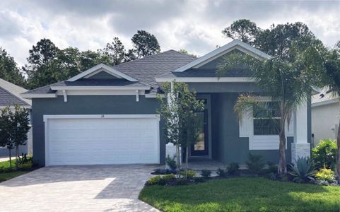 Coastal Gardens At Town Enter by Paytas Homes in Palm Coast - photo 5 5