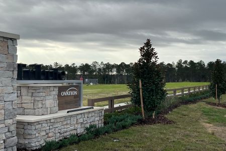 Tribute At Ovation by M/I Homes in Winter Garden - photo 24